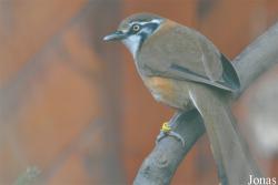 Naturschutz-Tierpark Görlitz