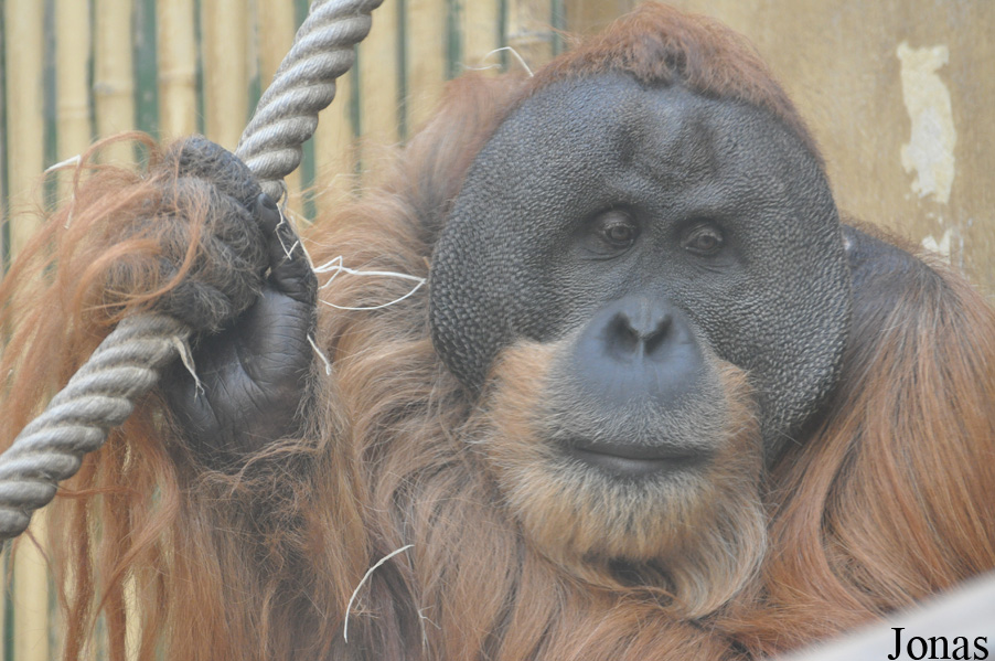 Zoo Dresden