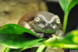Tierpark Chemnitz