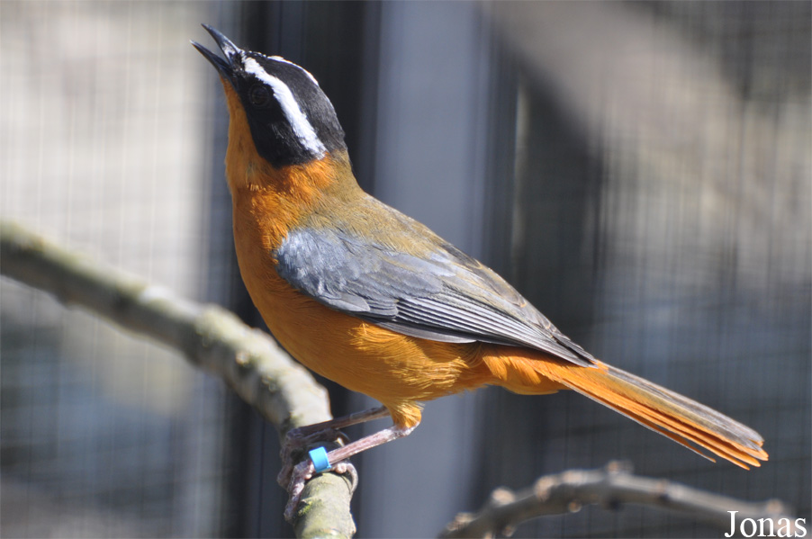 Tierpark Chemnitz