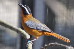 Tierpark Chemnitz