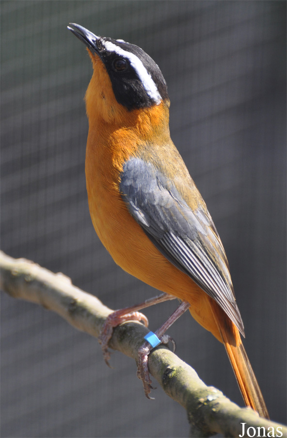 Tierpark Chemnitz