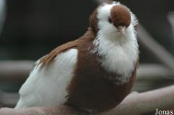 Zoo Kaiserslautern