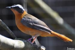 Tierpark Chemnitz