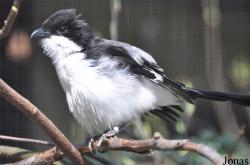 Tierpark Chemnitz
