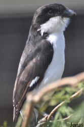 Tierpark Chemnitz