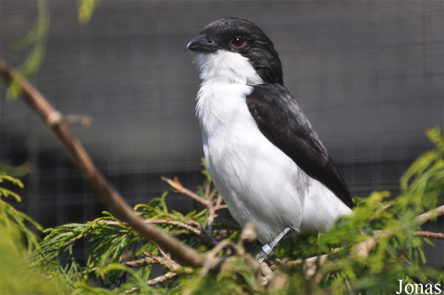 Tierpark Chemnitz