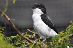 Tierpark Chemnitz