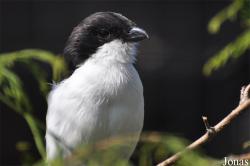 Tierpark Chemnitz