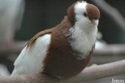 Zoo Kaiserslautern