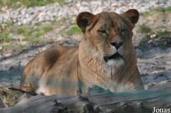 Tierpark Chemnitz