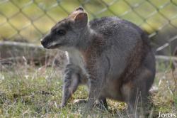 Tiergarten Aue Zoo der Minis