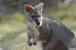 Tiergarten Aue Zoo der Minis