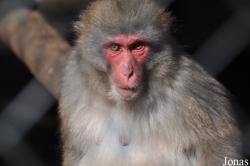 Tiergarten Aue Zoo der Minis