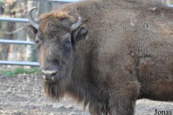 Tierpark Hirschfeld