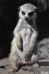Aqua Zoo Friesland