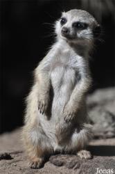 Aqua Zoo Friesland