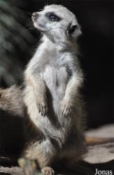 Aqua Zoo Friesland