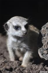Aqua Zoo Friesland