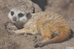 Aqua Zoo Friesland