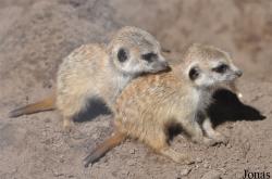 Aqua Zoo Friesland