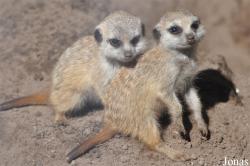 Aqua Zoo Friesland