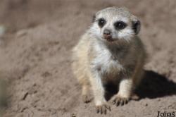 Aqua Zoo Friesland