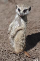 Aqua Zoo Friesland