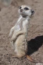 Aqua Zoo Friesland