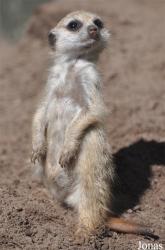 Aqua Zoo Friesland