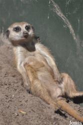 Aqua Zoo Friesland