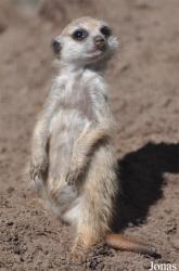 Aqua Zoo Friesland
