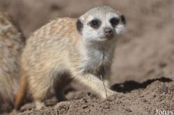 Aqua Zoo Friesland