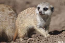 Aqua Zoo Friesland