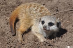 Aqua Zoo Friesland
