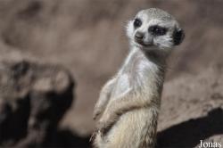 Aqua Zoo Friesland