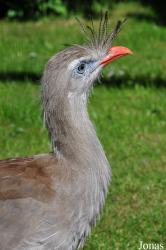 Aqua Zoo Friesland