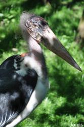 Aqua Zoo Friesland