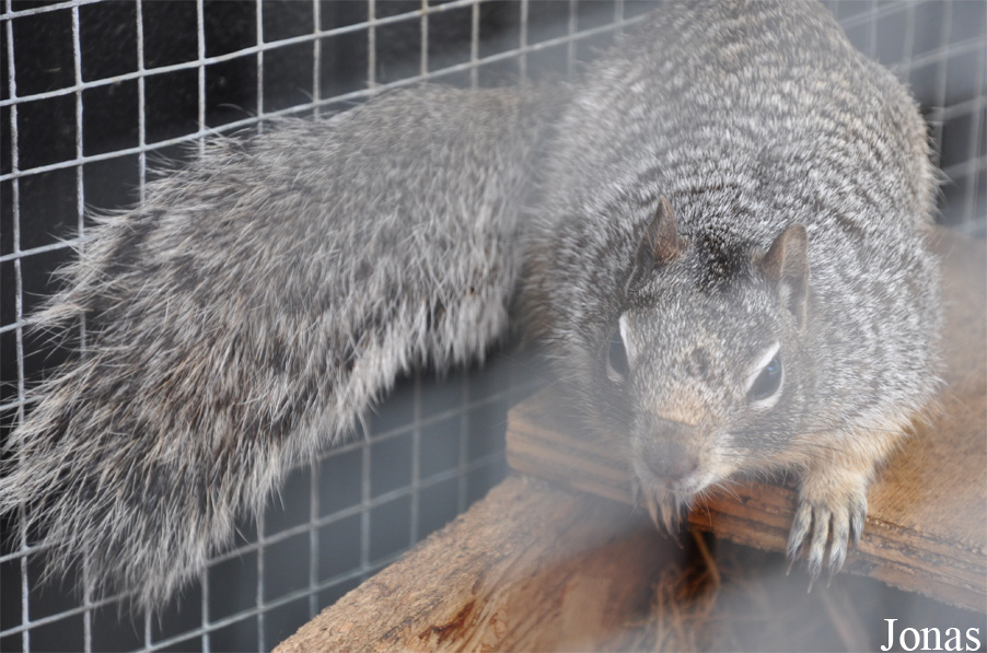 Vogelpark Ruinen