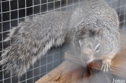Vogelpark Ruinen