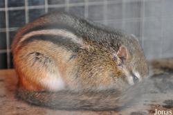 Vogelpark Ruinen
