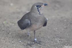 Vogelpark Ruinen