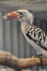 Vogelpark Ruinen