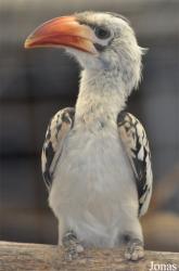 Vogelpark Ruinen