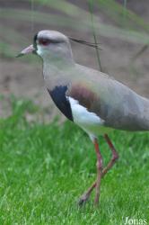 Vogelpark Ruinen
