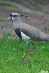 Vogelpark Ruinen