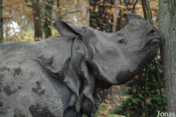 Dierenpark Amersfoort