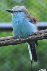 Vogelpark Ruinen