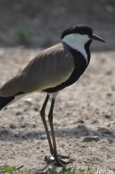 Vogelpark Ruinen