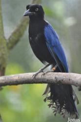 Vogelpark Ruinen